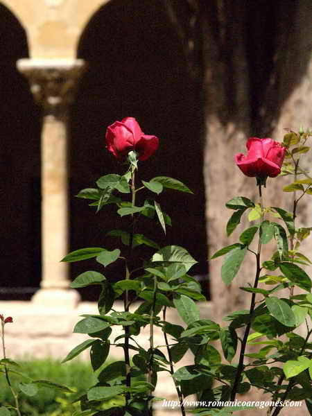 ROSAS, CIPRÉS Y ARTE: EL CLAUSTRO DE SILOS